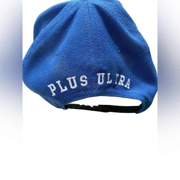 My Hero Academia Snapback Hat, Plus Ultra, Mha Manga Underbill Anime character - Picture 3 of 10